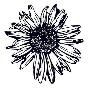 Decoración Pared De Metal Daisy 2 Negro 70x70 Cm