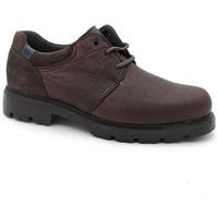 pitillos zapatos bajos 4761 para hombre