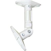 Newstar Newstar SPEAKER-W100 soporte de altavoz Techo, Par
