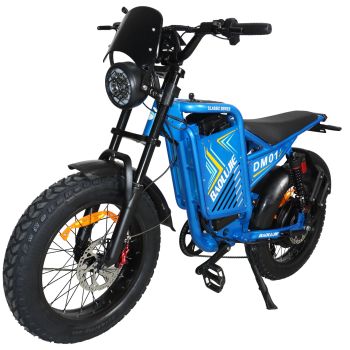 [EU DIRECT] BAOLUJIE DM-01 Bicicleta eléctrica, batería de 60V 25Ah, motor de 60V 2000W, potencia pico de 3500W, velocid