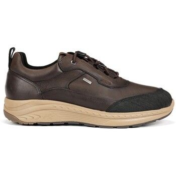 Fluchos Deportivas Moda F2294 para hombre