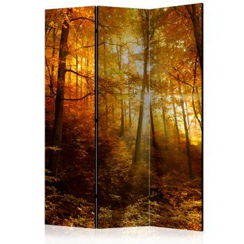 Biombo - Autumn Illumination (135x172 Cm)