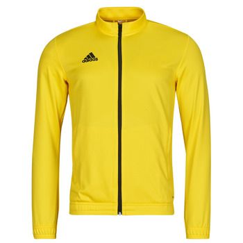 adidas Chaqueta deporte HI2134 para hombre