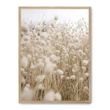 Cuadro Cotton Sea