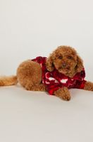 hunkemoller onesie para perro rojo