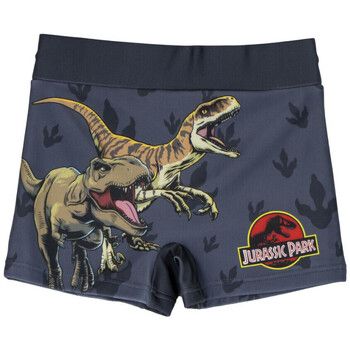 Jurassic Park Bañador 2900002095 para niño