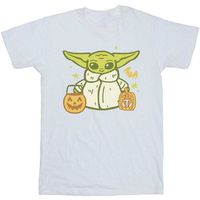 disney camiseta trick or treat para nina