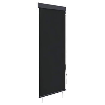 Estor Enrollable De Exterior Gris Antracita 60x250 Cm Vidaxl