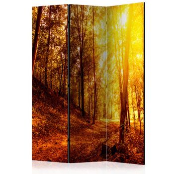 Biombo - Autumn Walk (135x172 Cm)