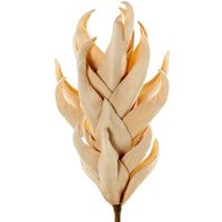 set 6 ramas hojas artificiales beige