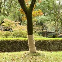 vidaxl rollo de yute 1x50 m 100 yute 200 gsm