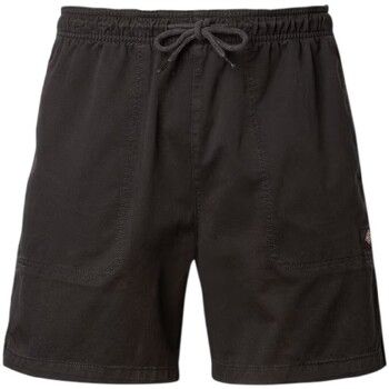 Dickies Short Pelican para hombre