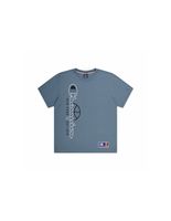 camiseta champion crewneck hombre gris