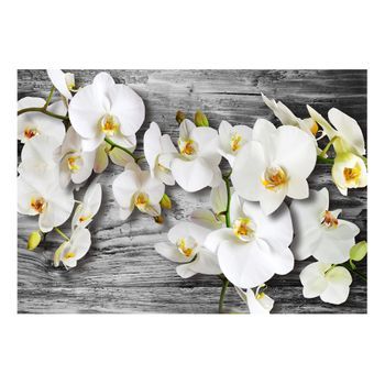 Papel Pintado 3d - Orquídeas Frías (400x280 Cm)