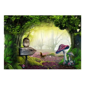 Papel Pintado 3d - Rincón Del Búho (200x140 Cm)