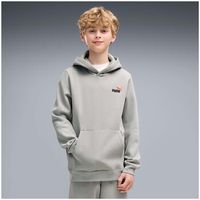 puma polar ess 2 color small no 1 logo hoodie fl b para nino
