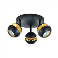 plafon de techo beethoven