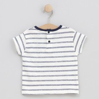 cotton fish Tops y Camisetas 90698 para niño