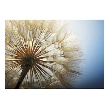 Papel Pintado 3d - Summer Delight (350x245 Cm)