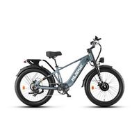 bicicleta electrica con sensor de par wildeway soared-max doble motor y neumaticos anchos gris