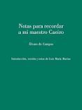 notas para recordar a mi maestro caeiro