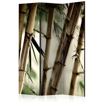 Biombo - Fog And Bamboo Forest (135x172 Cm)