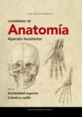 cuadernos de anatomía. aparato locomotor