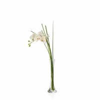 orquidea en ilusion de agua artificial crema h60