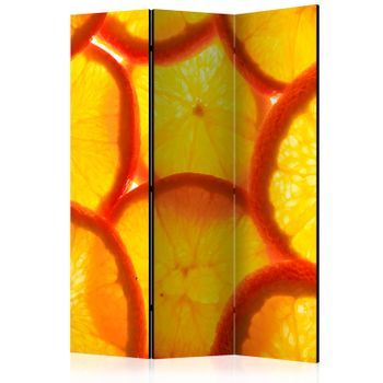 Biombo - Orange Slices (135x172 Cm)