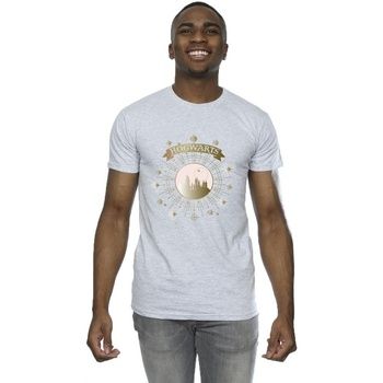 Harry Potter Camiseta Hogwarts para hombre