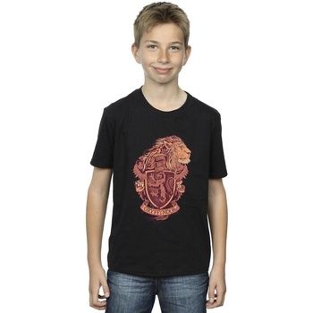 Harry Potter Tops y Camisetas Gryffindor para niño