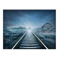 papel pintado 3d - el tren fantasma 350x270 cm