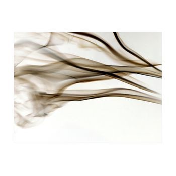 Papel Pintado 3d - Humo - Abstracto (300x231 Cm)