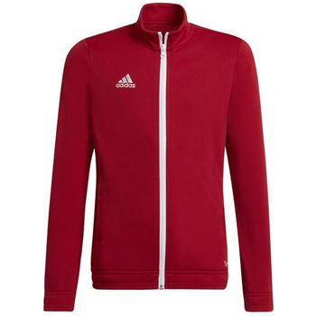 adidas Chaqueta Entrada 22 para niño