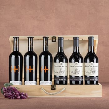 Caja Vino Premium – Ramón Bilbao Reserva Y Dominio De Valdepusa Summa (pack De 6)
