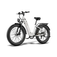 bicicleta electrica fafrees f26 rover 48v20ah 70-95km 250w color gris