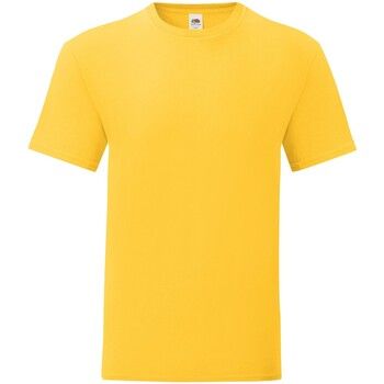 Fruit Of The Loom Camiseta Iconic Premium para hombre