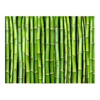 papel pintado 3d - una pared de bambu 300x231 cm