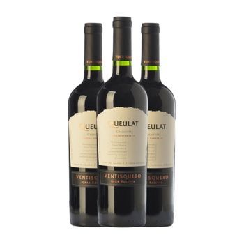 Viña Ventisquero Vino Tinto Queulat Valle Gran Reserva 75 Cl 13.5% Vol. (pack De 3 Unidades)