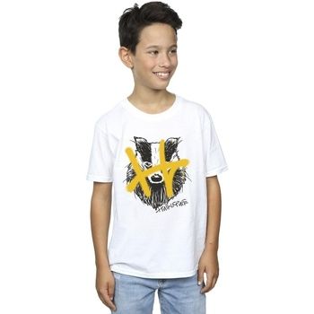 Harry Potter Tops y Camisetas Hufflepuff para niño