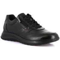 grunland zapatillas de senderismo dsg-sc4633 para hombre