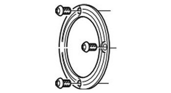 Campagnolo couvercle   vis pour moyeu arriere eurus shamal