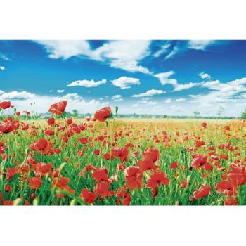 Fotomural Vinilo Campo De Amapolas 150 X 100 Cm