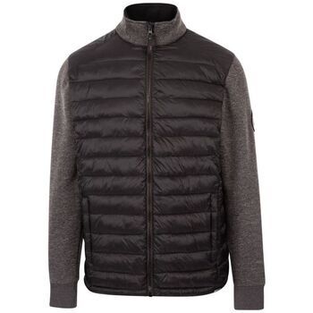 Trespass Abrigo de plumas Warner para hombre