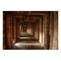 papel pintado 3d - wieliczka 250x175 cm