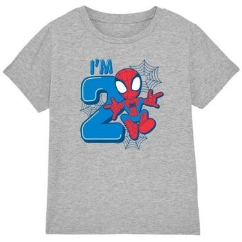 Marvel Tops y Camisetas Cute Spidey para niño