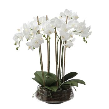 Composición de orquídea artificial blanca con vaso transparente h72