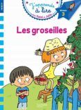 sami et julie cp niveau 3 les groseilles