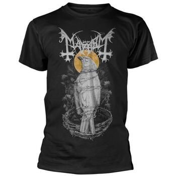 Mayhem Tops y Camisetas Ante Bellum para mujer