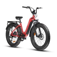 eu direct bici electrica bodywel d9 48v 15ah 250w potencia pico 750w motor bafang velocidad maxima recomendada 25 km